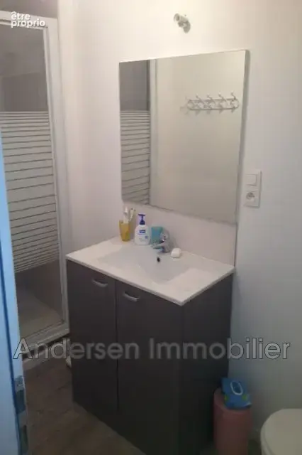 Appartement 10 pièces 208 m² à vendre à Palau-Del-Vidre (66690) - photo 4