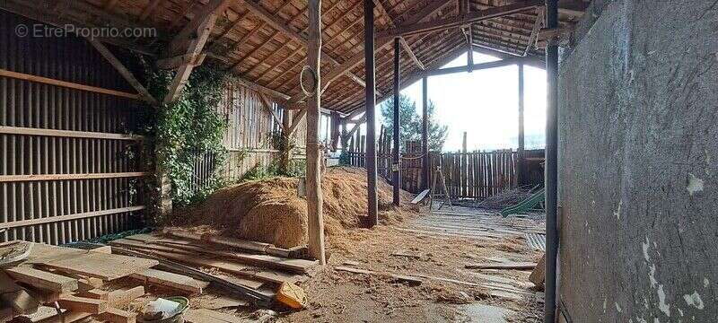 Photo 5 - Maison à ESTANDEUIL