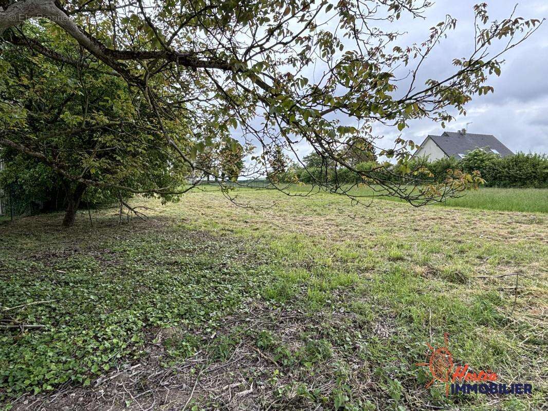 Terrain constructible de 874m² - photo 3