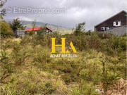 Terrain à SAINT-PIERRE