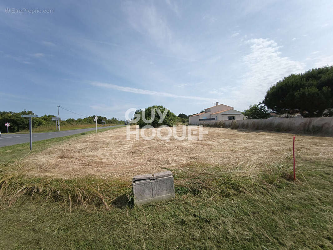 Terrain à DOLUS-D'OLERON