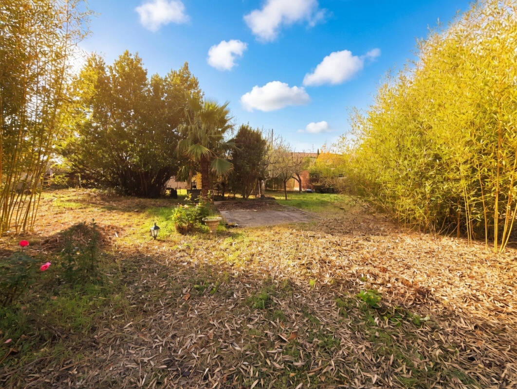 Terrain à SAINT-JEAN