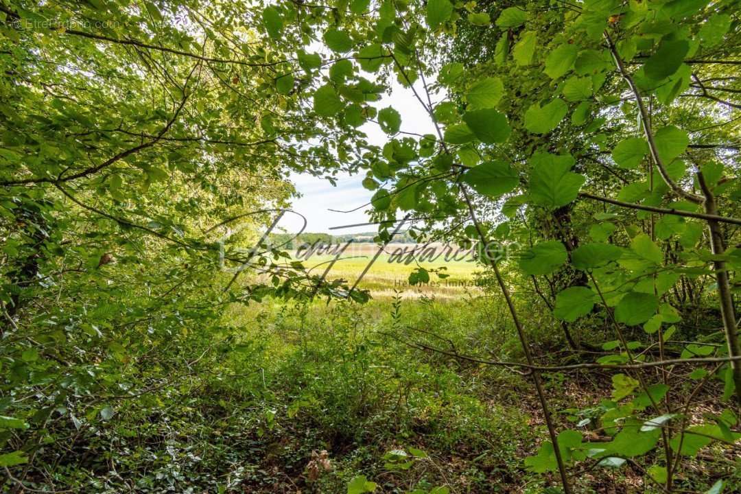 Terrain à NANTEAU-SUR-LUNAIN