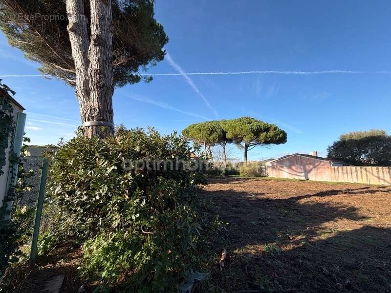 Terrain à LE BOIS-PLAGE-EN-RE