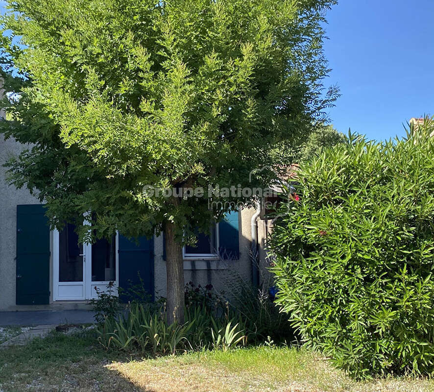 St Remy de Provence, maison + 2 appartements + piscine sur 1234 m² de terrain - photo 7