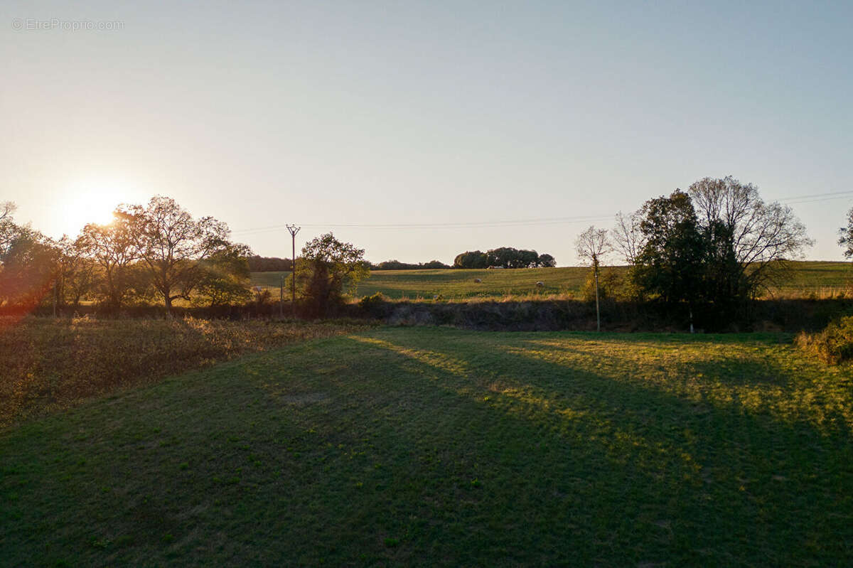 Terrain à ALAIRAC
