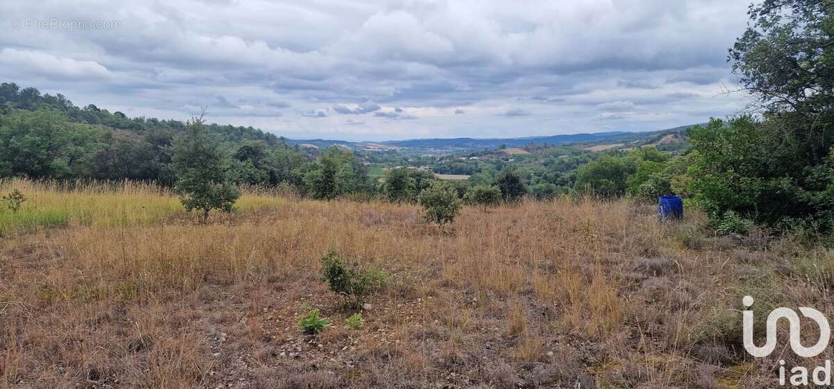 Photo 3 - Terrain à CASTELRENG