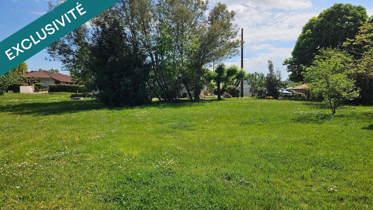 Photo 2 - Terrain à ALBIAS