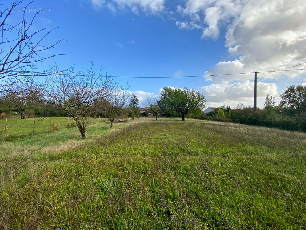 Terrain à MONTAUBAN