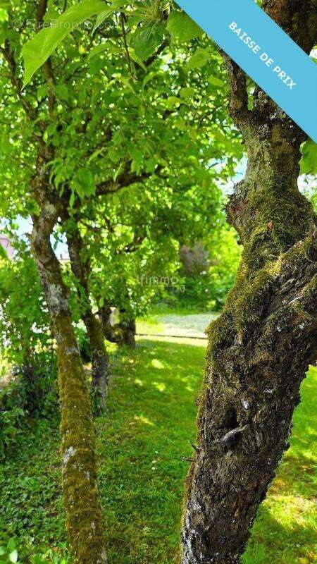 Maison à MERTZWILLER