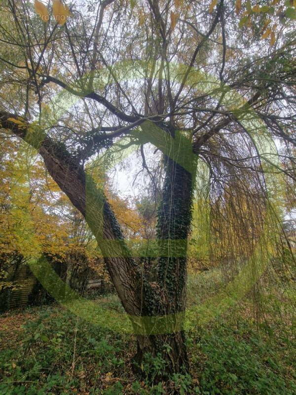 Terrain à BETHEMONT-LA-FORET