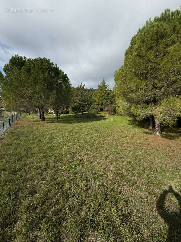 Terrain à CLERMONT-L'HERAULT
