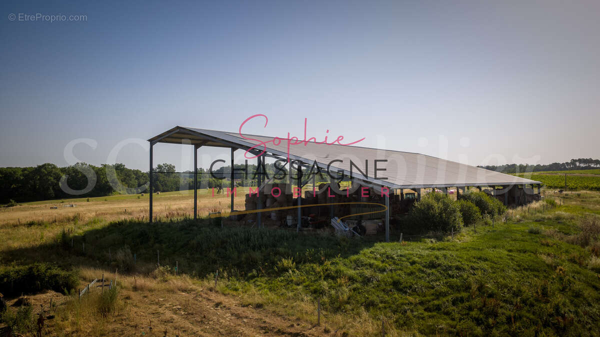 A 7 min de Sauveterre de Guyenne, 10 min de Rauzan, 20 min de Branne, sur presque de 34 hectares, - photo 3