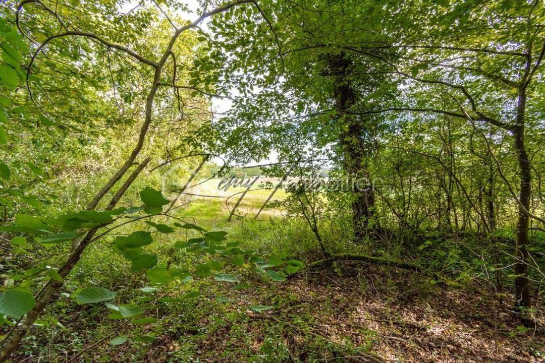 Terrain à NANTEAU-SUR-LUNAIN