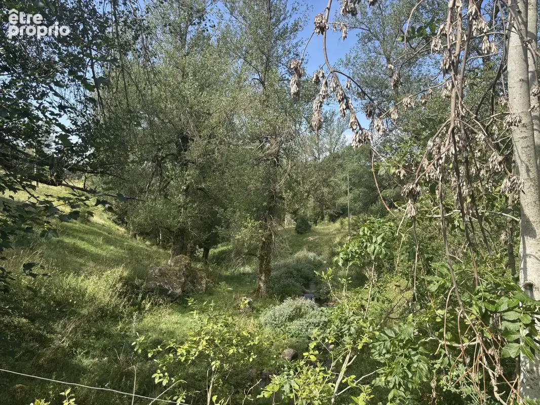 Exclusivité - terrain de 1 716 m² avec deux ruines en pierre - photo 11
