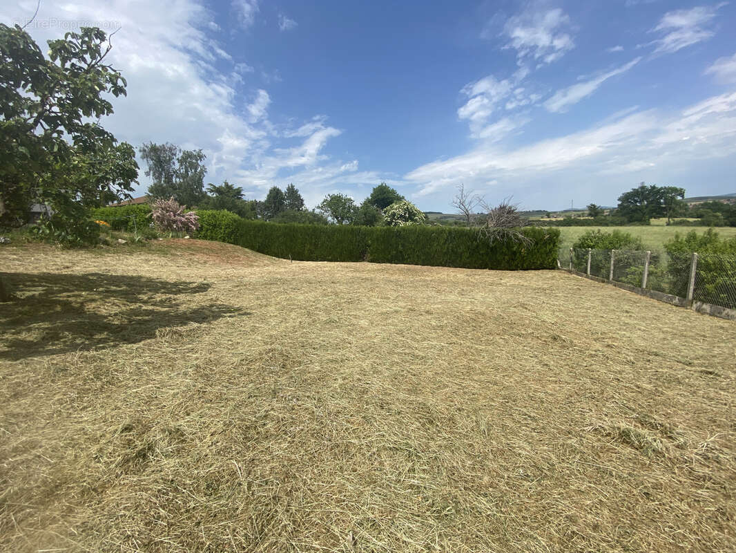 Terrain à PONTCHARRA-SUR-TURDINE