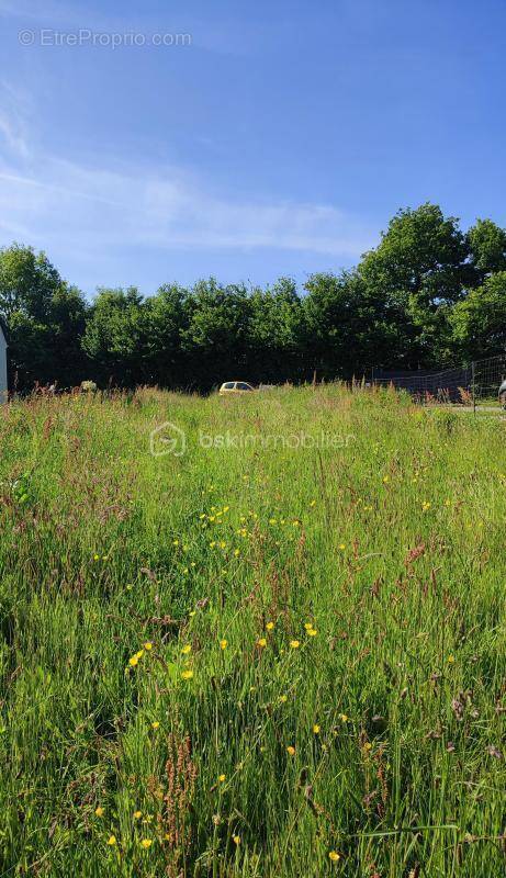 Terrain à CARROUGES