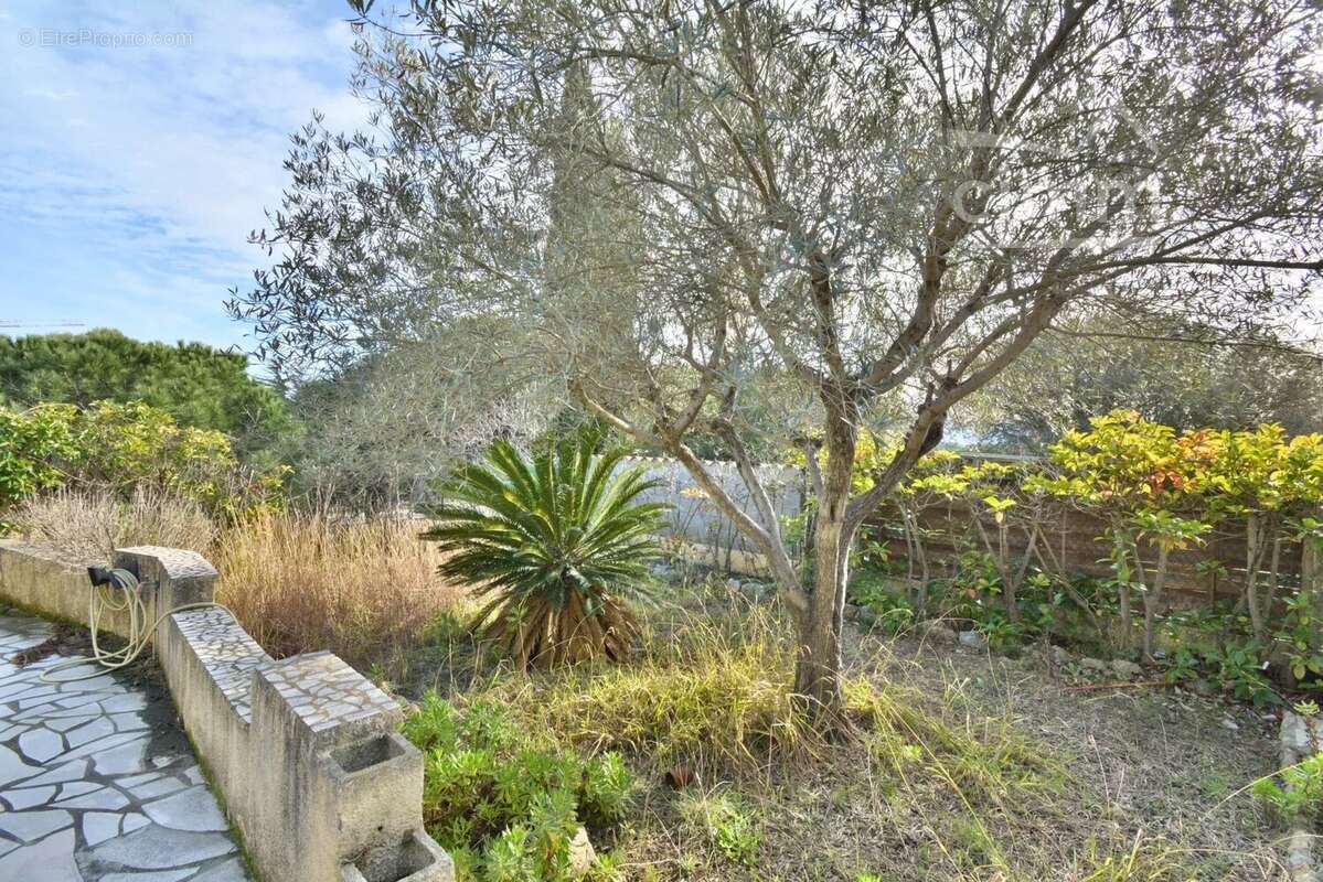 Maison à CANET-EN-ROUSSILLON