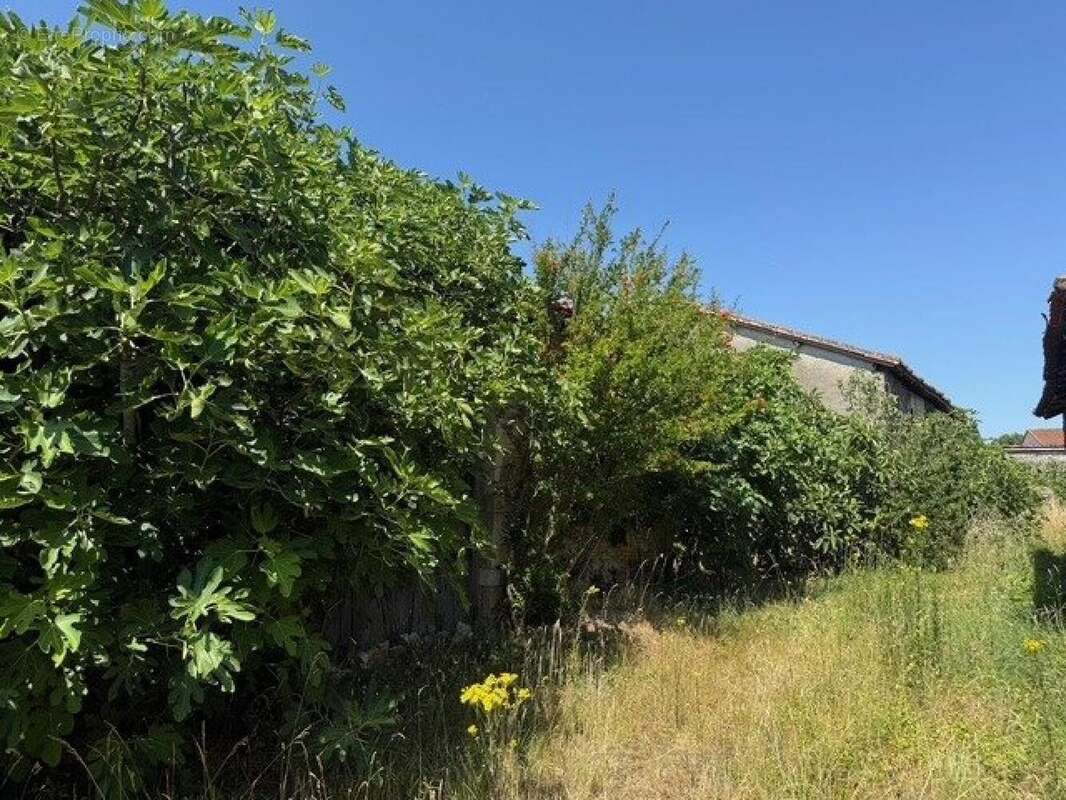 Maison 127 m² à Agris  - photo 6
