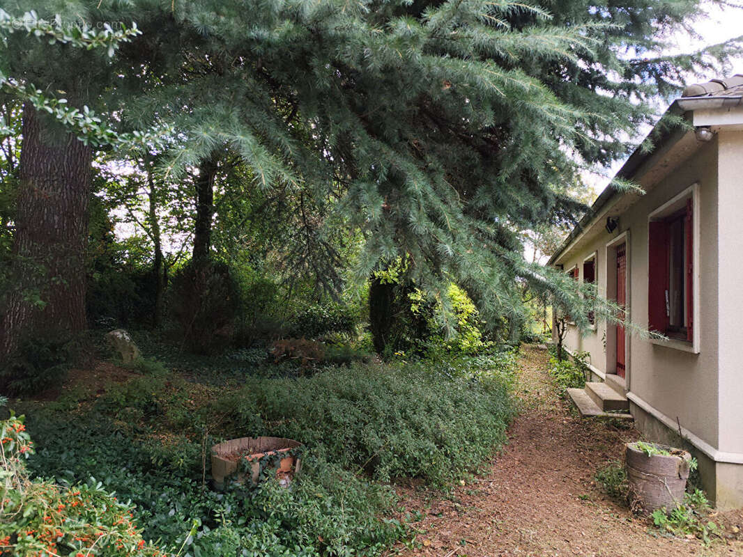 Maison à SARAN