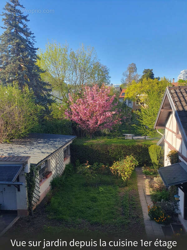 Appartement 91.2 m² - 4 pièces au calme - 1er étage - Quartier TIVOLI / WACKEN - photo 16