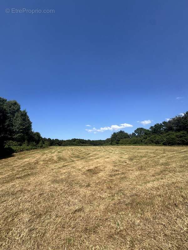 Maison 114 m² à Loguivy-Plougras  - photo 3