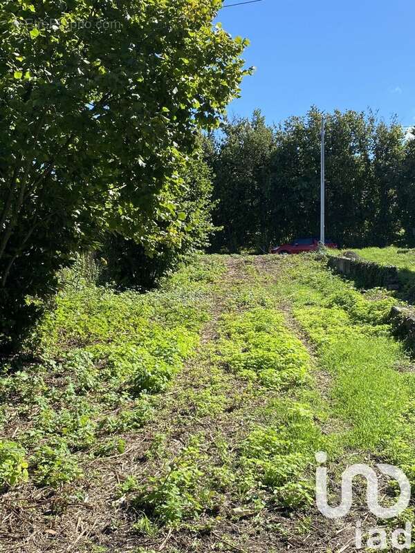 Photo 4 - Terrain à ZILLISHEIM