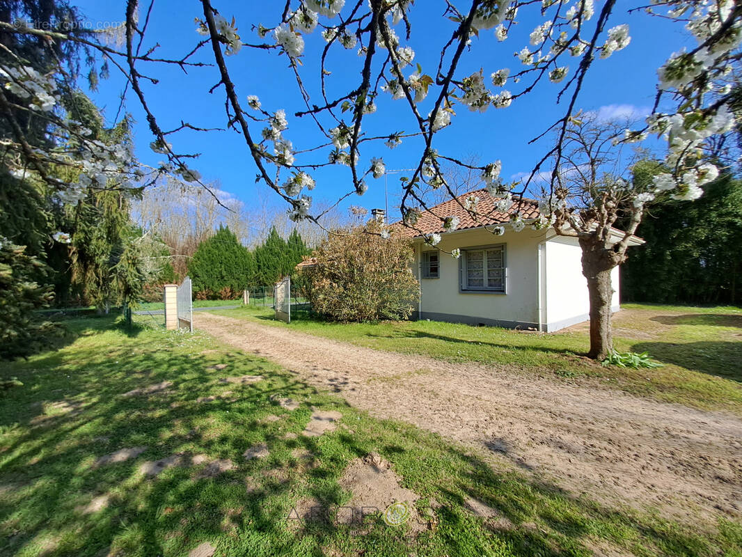 Maison à PUCH-D'AGENAIS