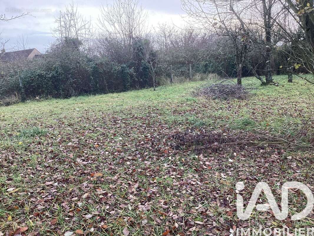 Photo 3 - Terrain à MONTCEAUX-LES-PROVINS