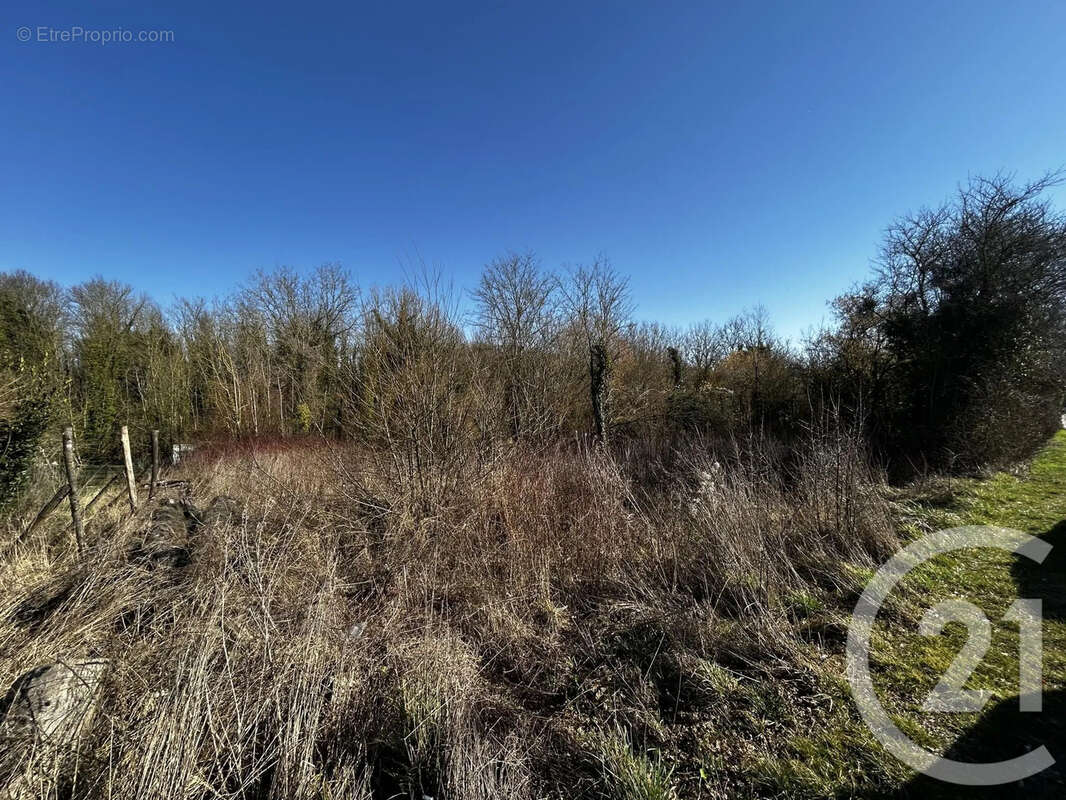 Terrain à CONNANTRAY-VAUREFROY