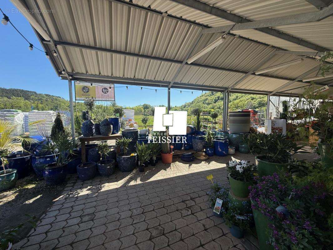 Commerce à LES VANS