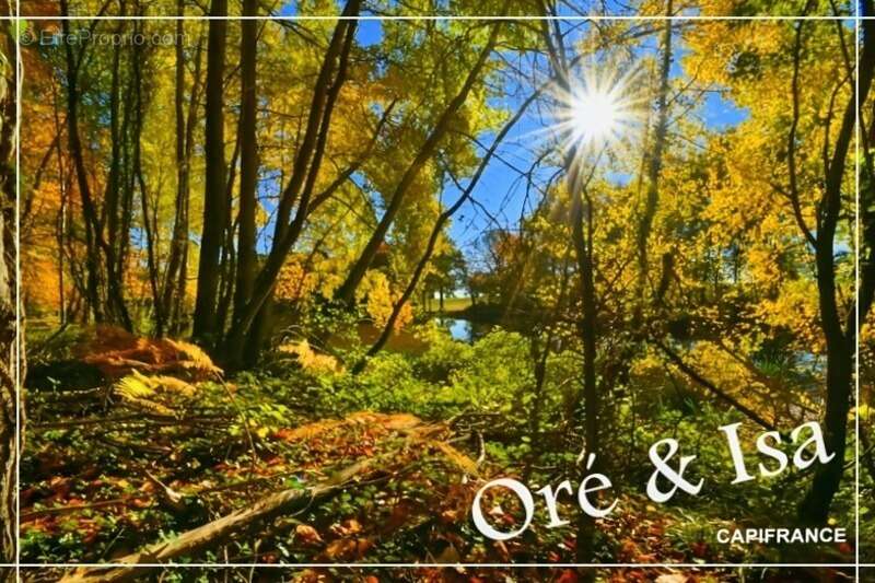 Terrain à SAINT-DESIRE