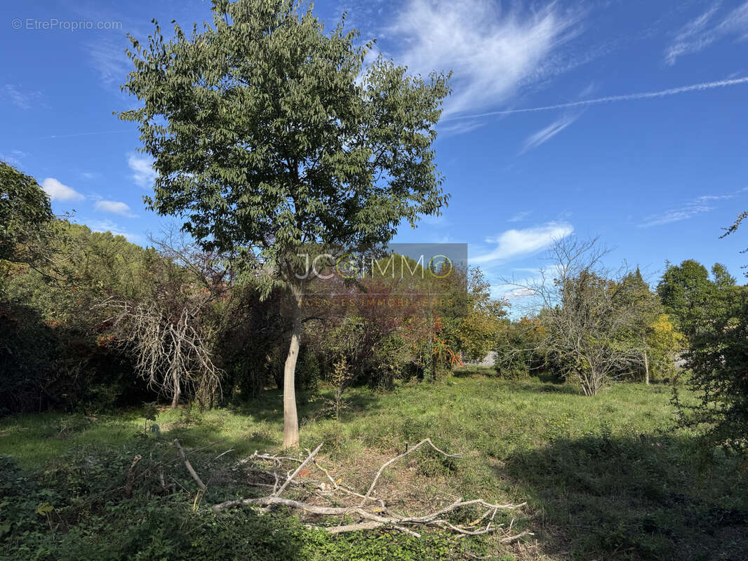 Terrain à CARNOULES