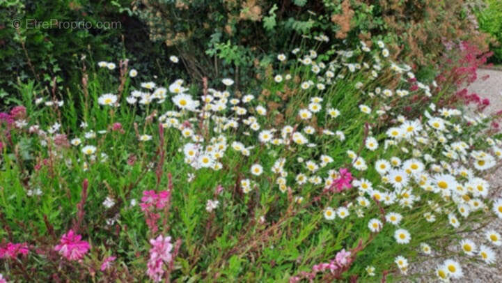Maison à PREFAILLES