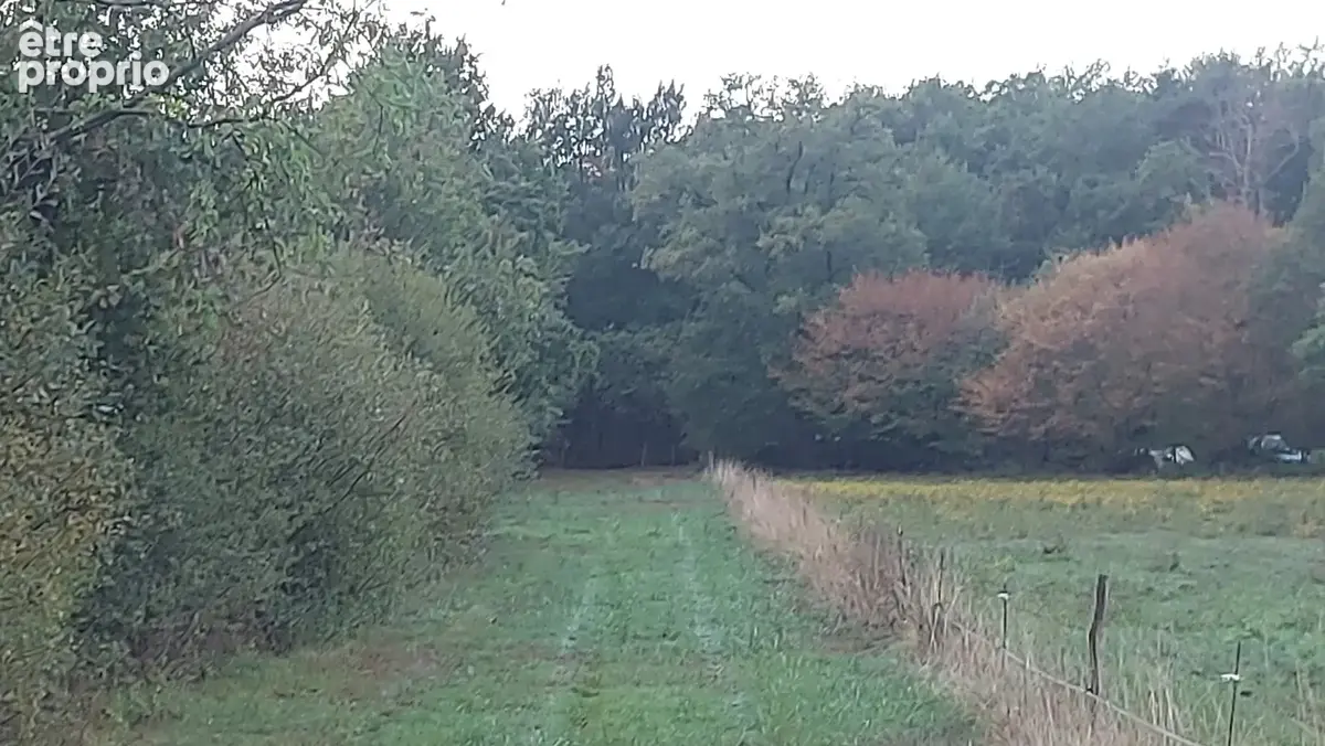 Exclusivité - orléat - terrain de 7 940 m² dont 685 m² constructibles - photo 2