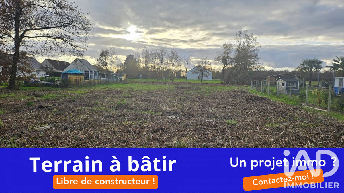 Photo 1 - Terrain à SAINT-MICHEL-SUR-LOIRE