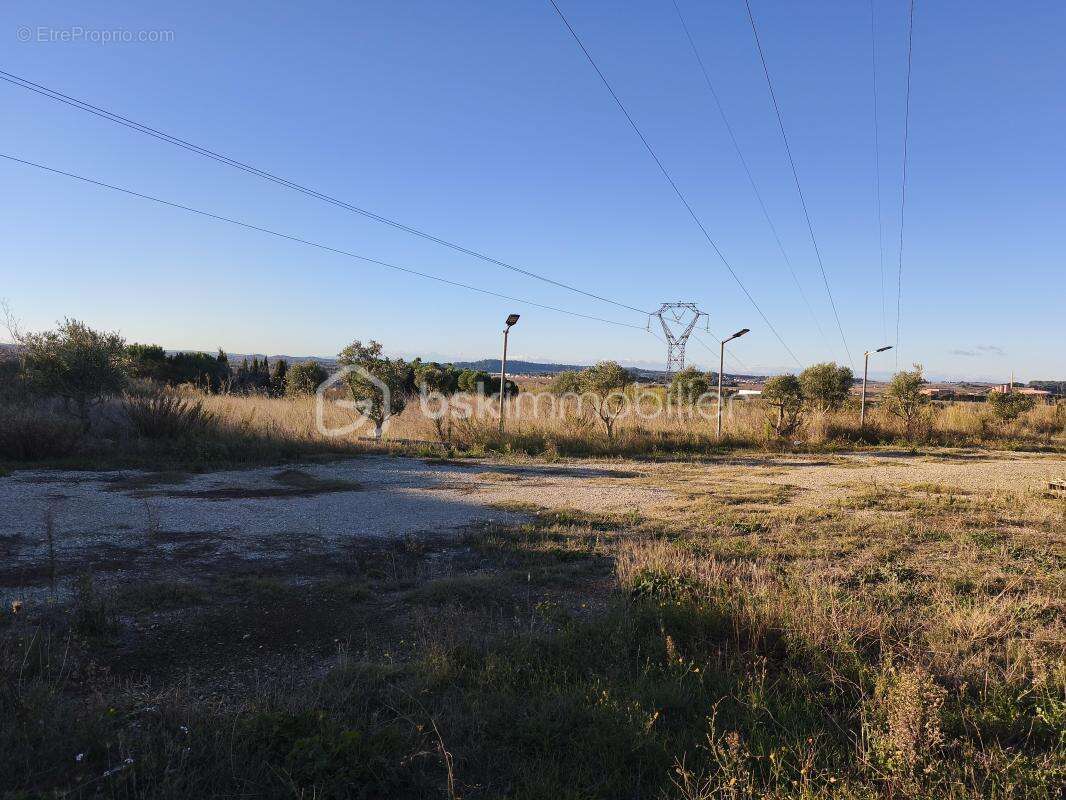 Terrain à MARAUSSAN
