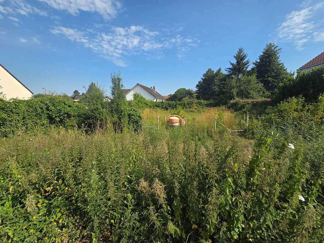 Terrain à SAINT-PIERRE-LES-ELBEUF