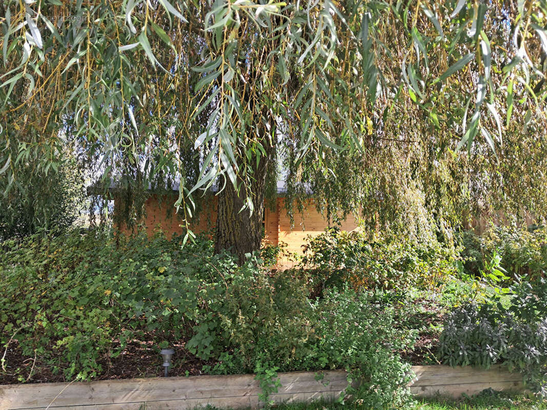 Photo 2 - Appartement à MARIGNY-LES-REULLEE