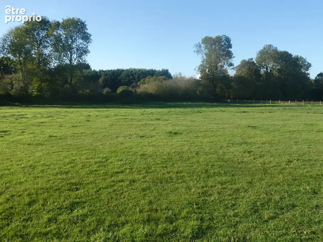 Maison Beuzeville, 3 ch, terrain 29 434 m² et 3 dépendances dont 1 hangar agricole - photo 14