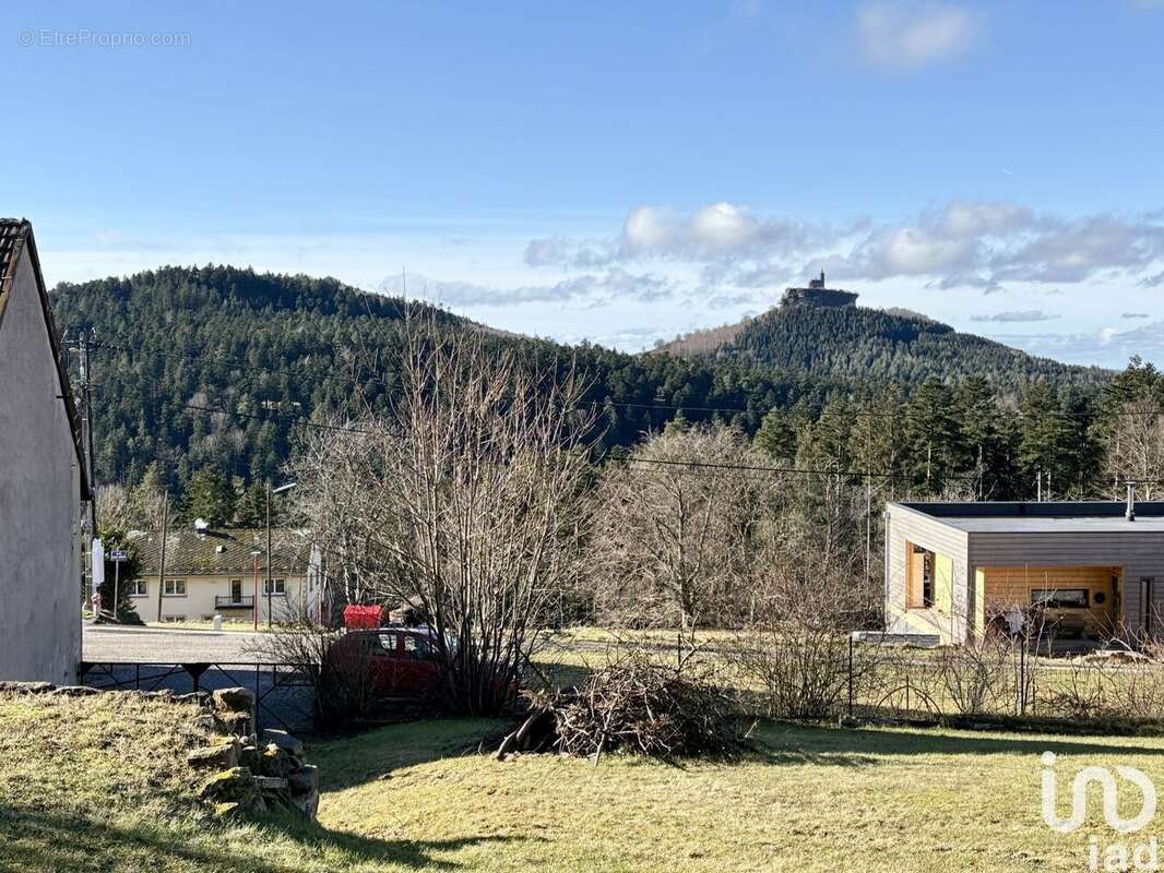 Photo 4 - Commerce à DABO