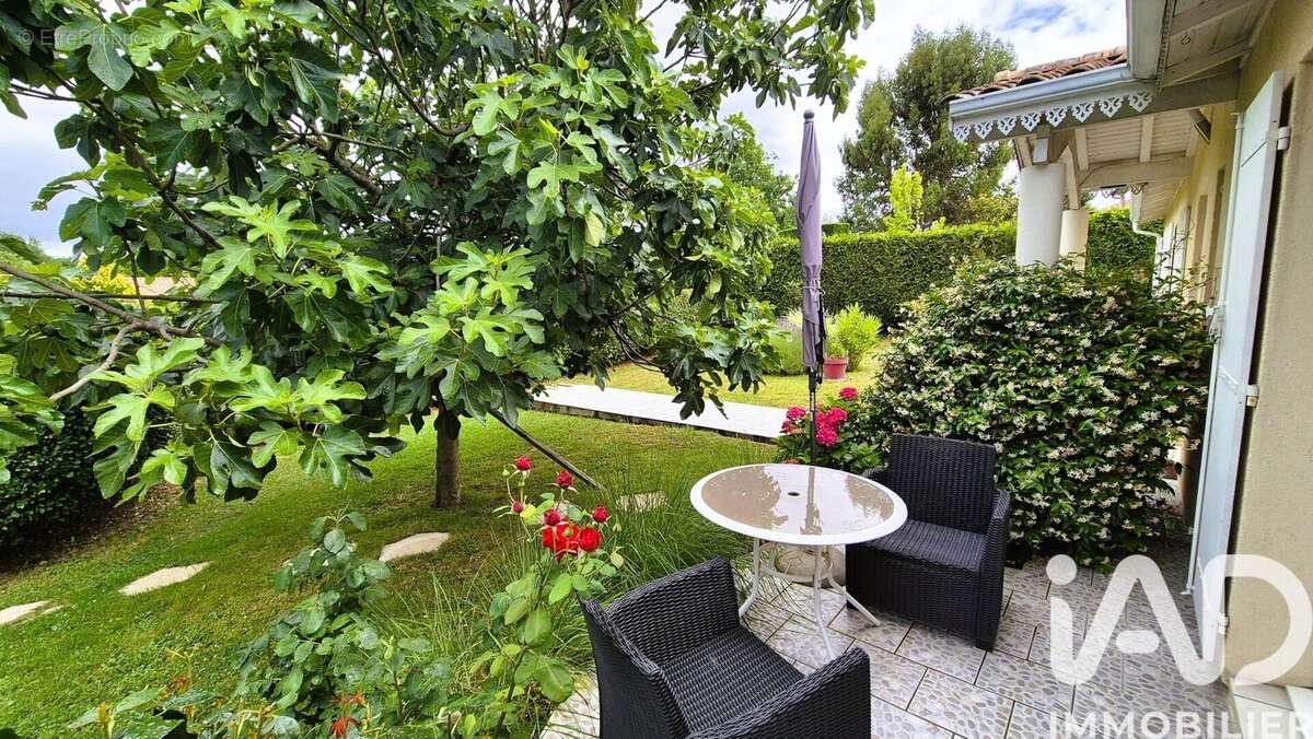 Photo 2 - Maison à MONTUSSAN