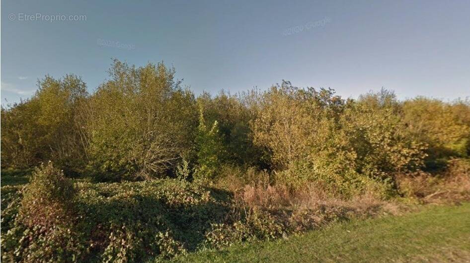 Terrain à BOISSISE-LE-ROI