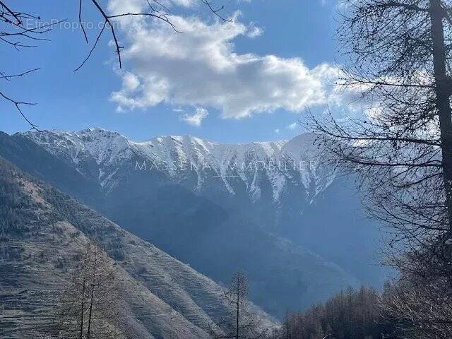 Appartement à ISOLA