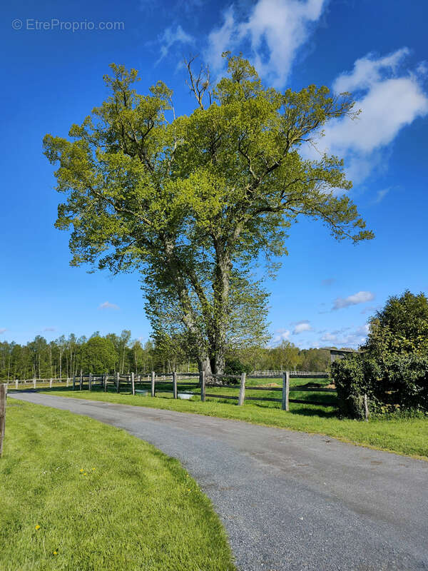Propriété équestre avec 13 hectares - photo 41