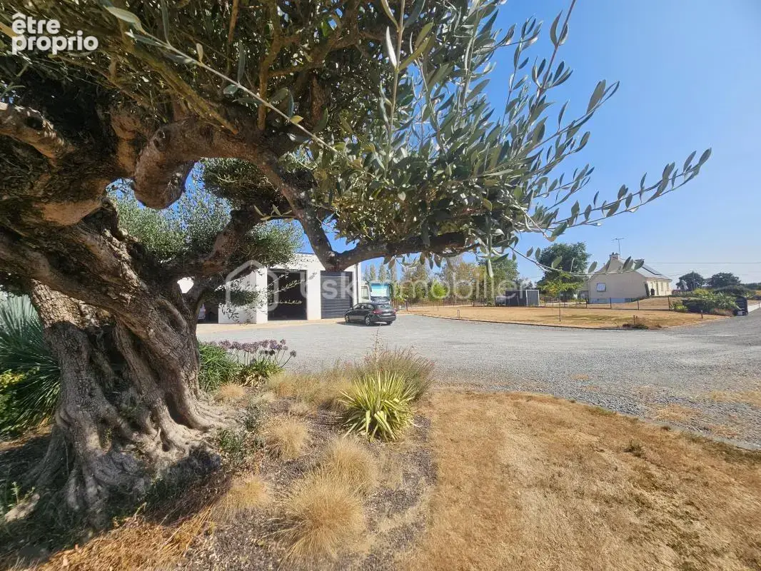 RARE - Plain-pied moderne 2020, 180m² d'atelier / garage et terrain de 4000m² - photo 24