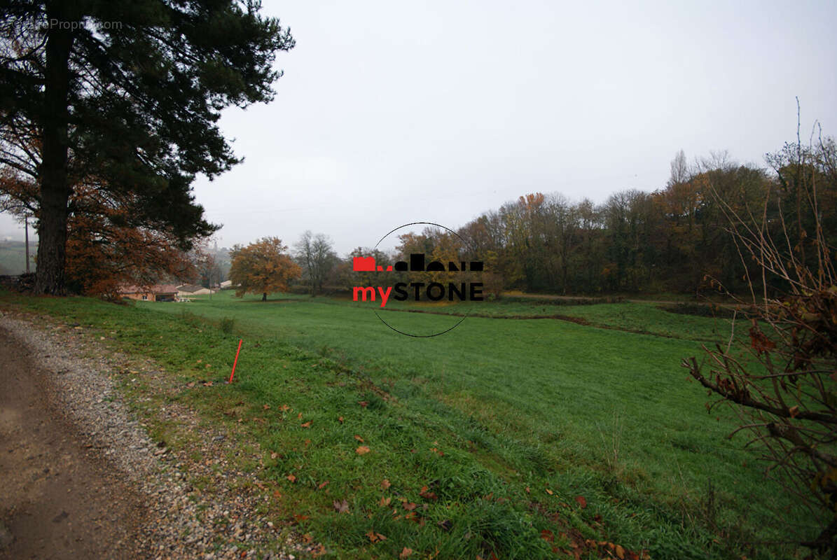 Terrain à SAINT-AMOUR-BELLEVUE