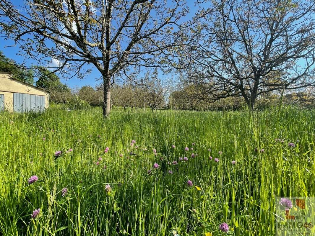 Terrain à ALVIGNAC