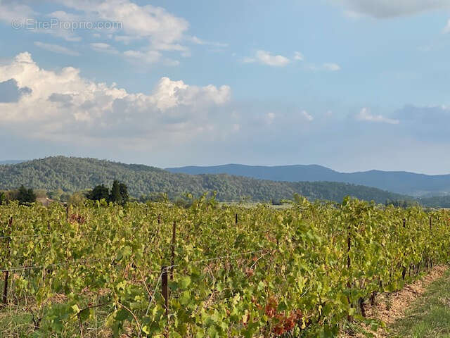 Terrain à PUGET-VILLE