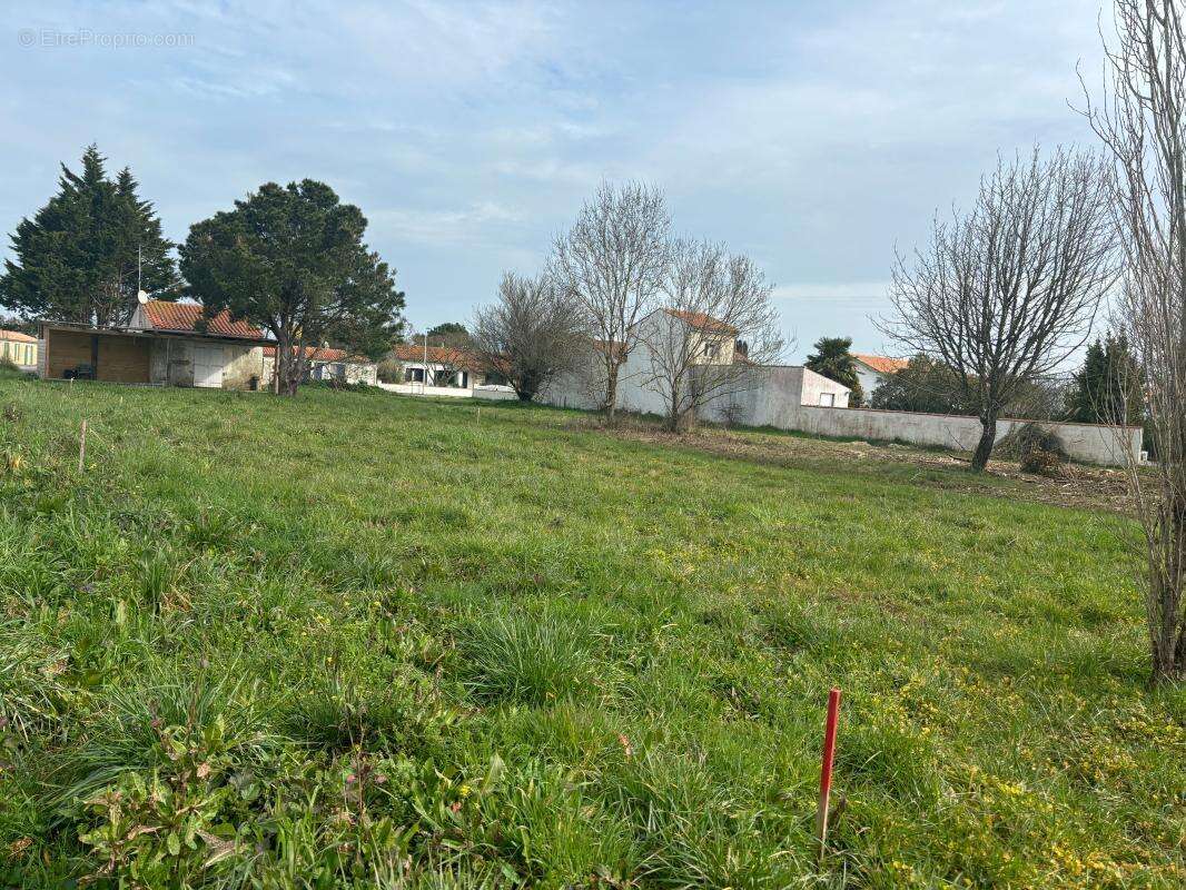 Terrain à SAINT-GEORGES-D&#039;OLERON
